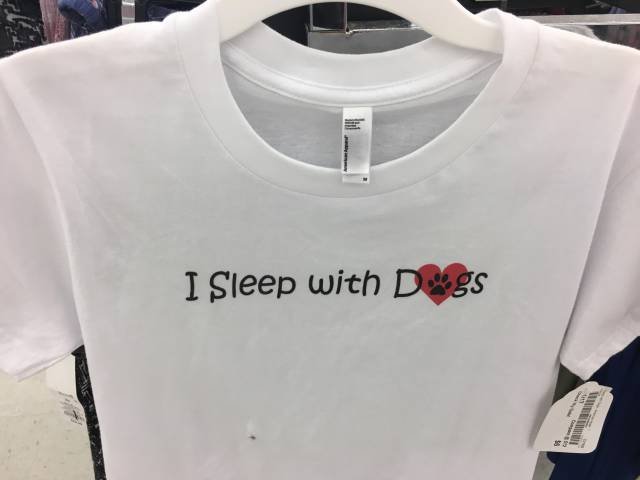 Bildschirmarbeiter - Picdump 23.06.2017