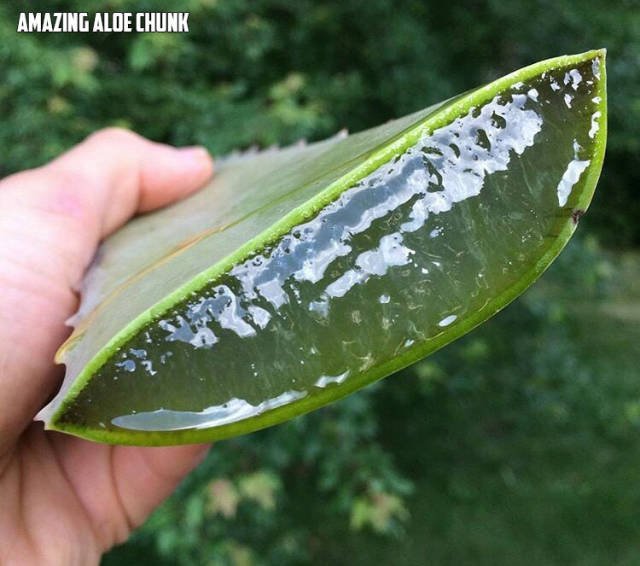 Bildschirmarbeiter - Picdump 23.06.2017