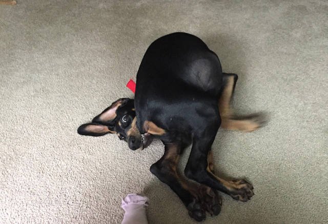 Bildschirmarbeiter - Picdump 23.06.2017