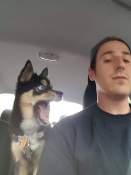 Bildschirmarbeiter - Picdump 23.06.2017