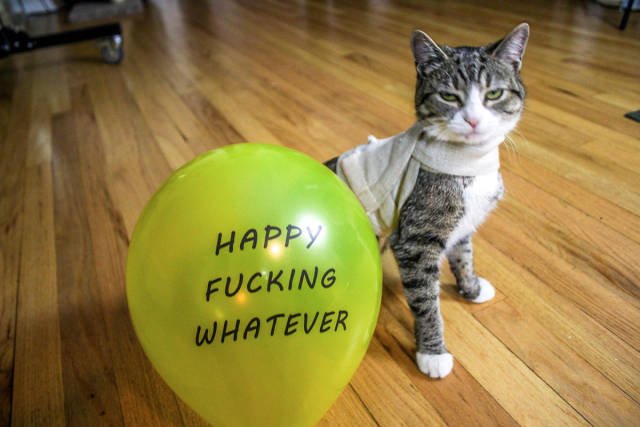 Bildschirmarbeiter - Picdump 23.06.2017