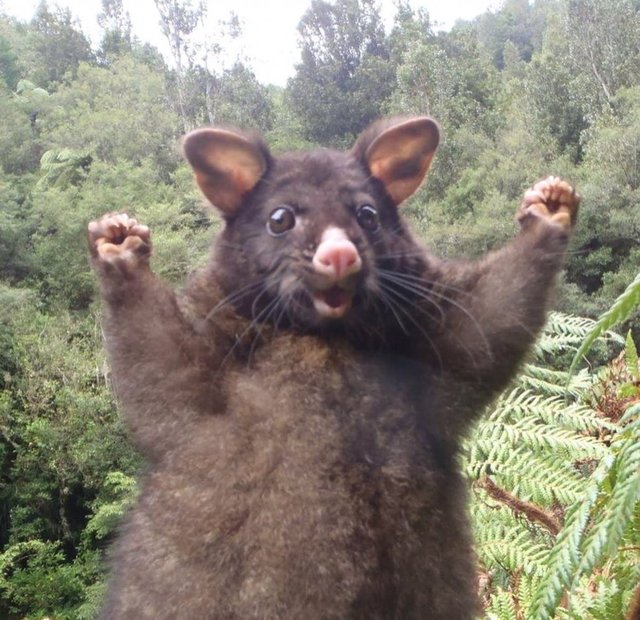 Bildschirmarbeiter - Picdump 23.06.2017