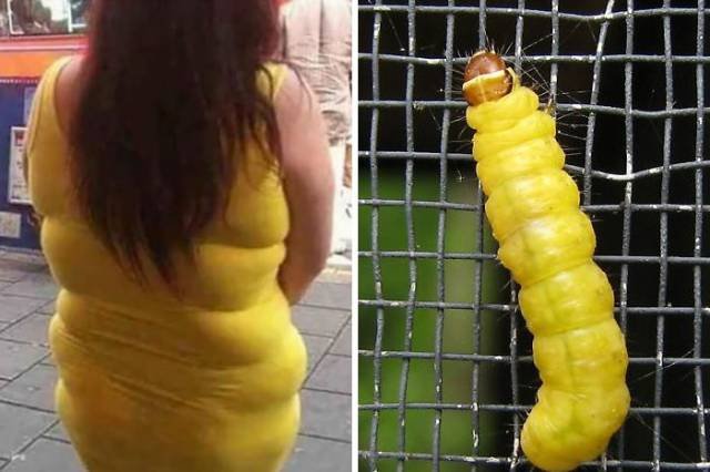 Bildschirmarbeiter - Picdump 23.06.2017