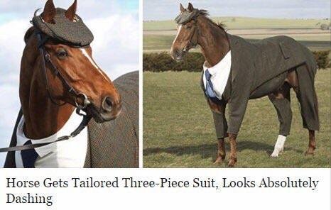 Bildschirmarbeiter - Picdump 23.06.2017