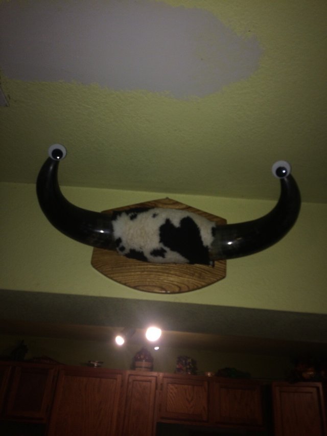 Bildschirmarbeiter - Picdump 23.06.2017