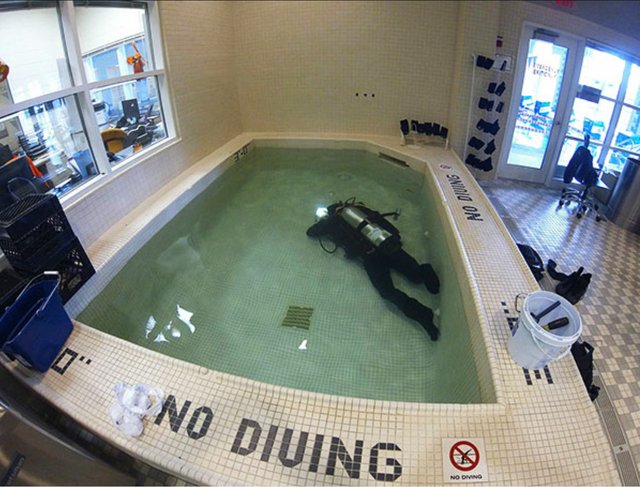 Bildschirmarbeiter - Picdump 30.06.2017