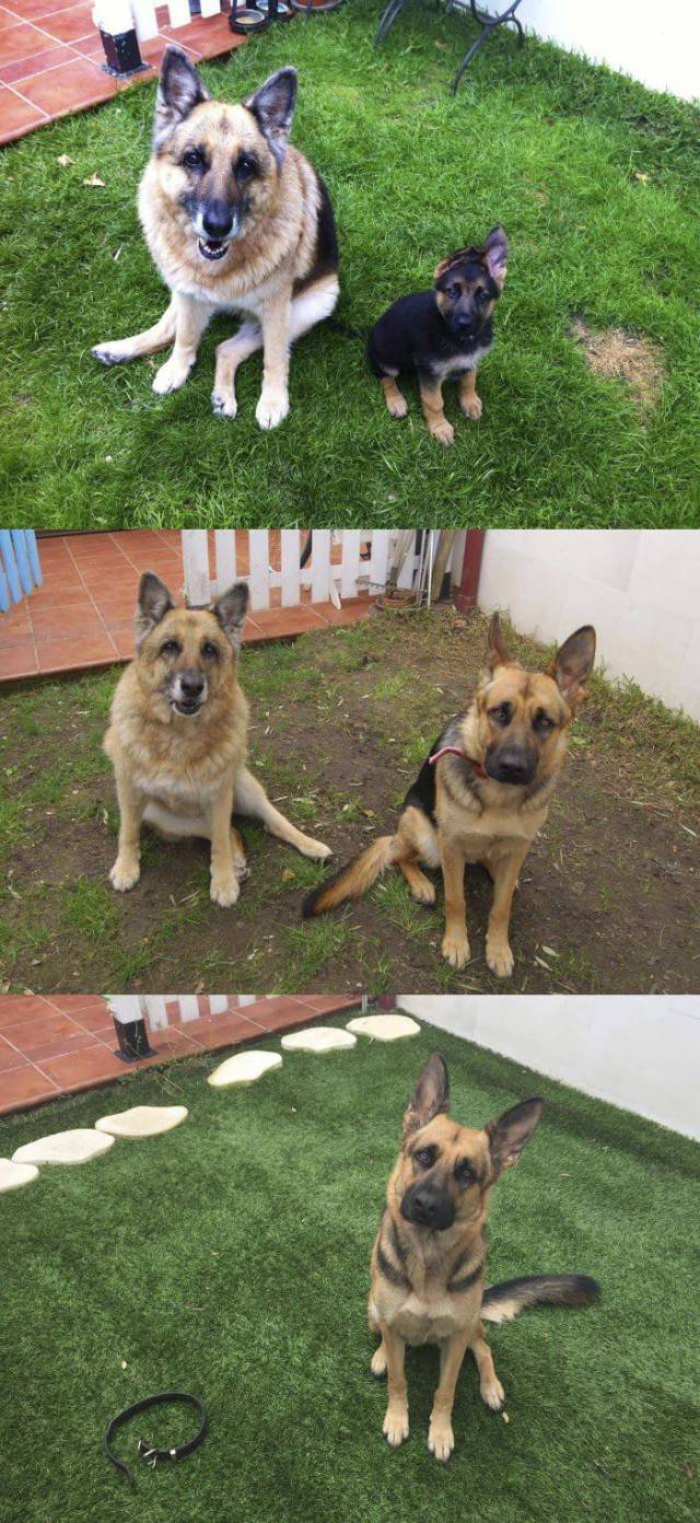 Bildschirmarbeiter - Picdump 30.06.2017