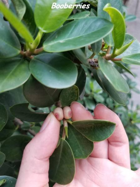 Bildschirmarbeiter - Picdump 30.06.2017