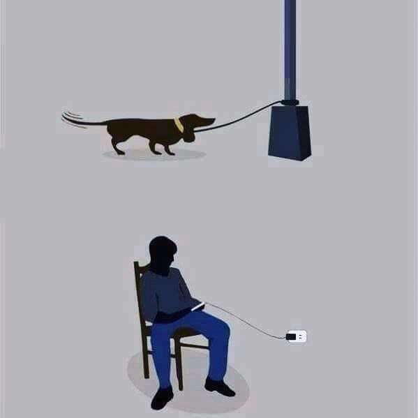 Bildschirmarbeiter - Picdump 30.06.2017