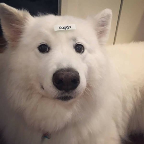 Bildschirmarbeiter - Picdump 30.06.2017