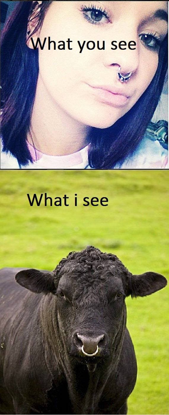 Bildschirmarbeiter - Picdump 30.06.2017