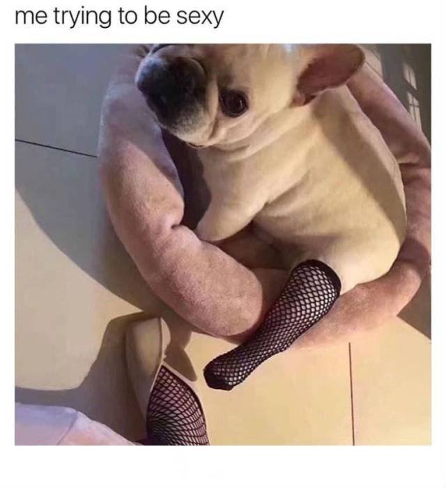 Bildschirmarbeiter - Picdump 30.06.2017