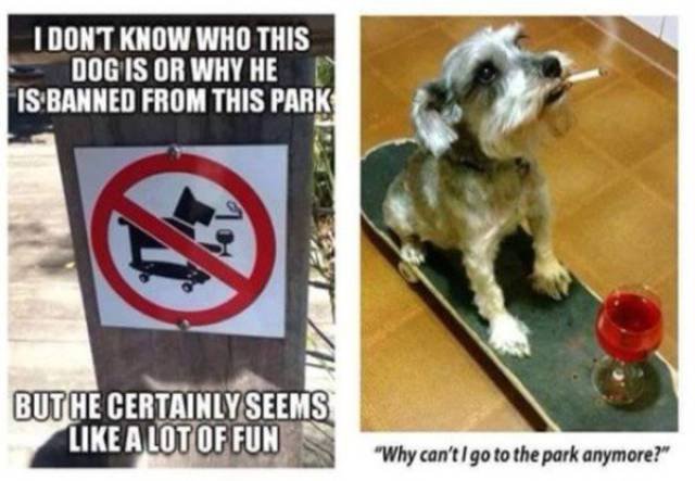 Bildschirmarbeiter - Picdump 30.06.2017