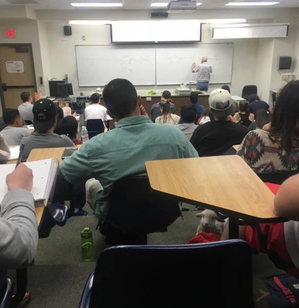 Bildschirmarbeiter - Picdump 30.06.2017