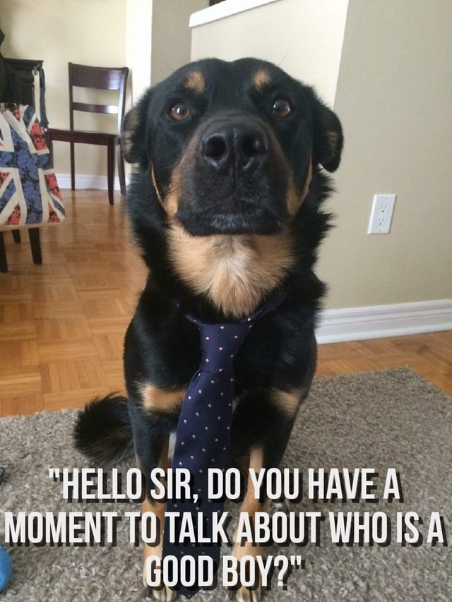 Bildschirmarbeiter - Picdump 30.06.2017