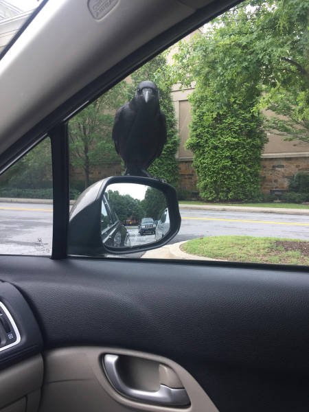 Bildschirmarbeiter - Picdump 30.06.2017