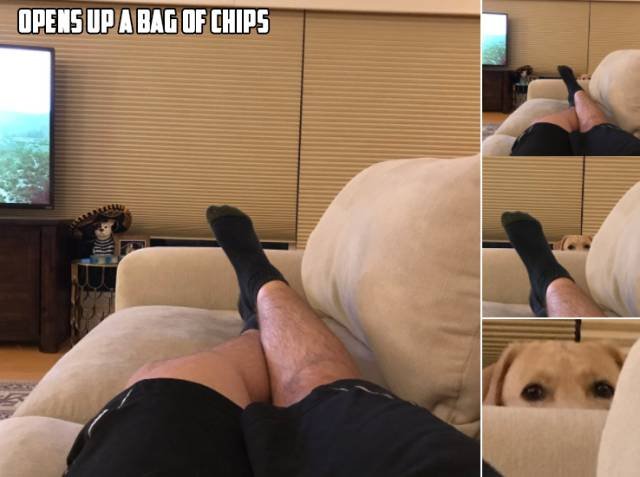 Bildschirmarbeiter - Picdump 30.06.2017