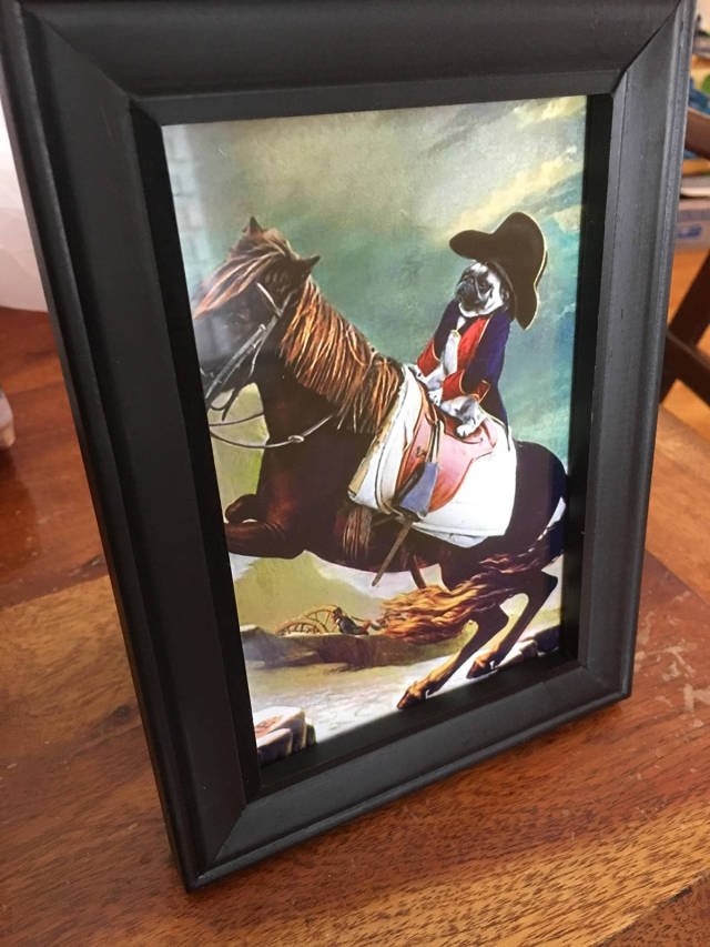 Bildschirmarbeiter - Picdump 30.06.2017