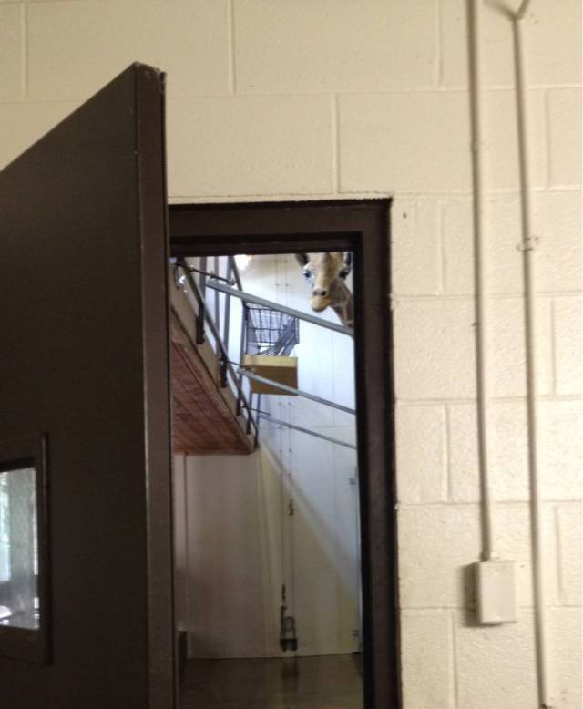 Bildschirmarbeiter - Picdump 30.06.2017