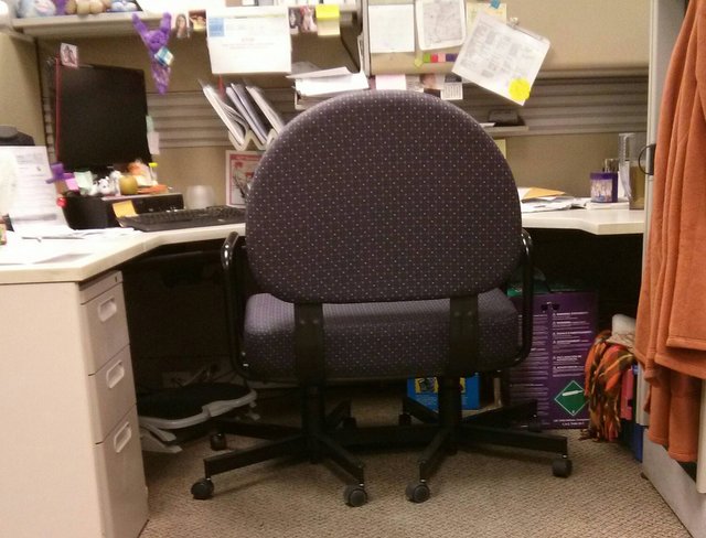 Bildschirmarbeiter - Picdump 30.06.2017