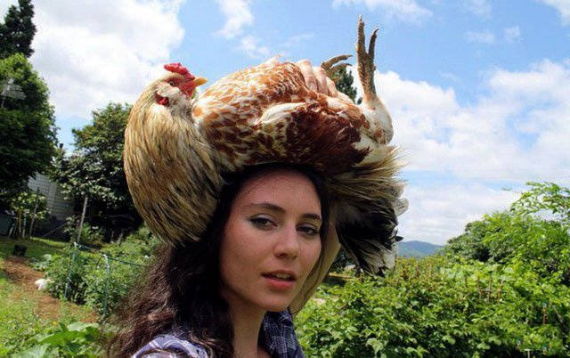 Bildschirmarbeiter - Picdump 30.06.2017