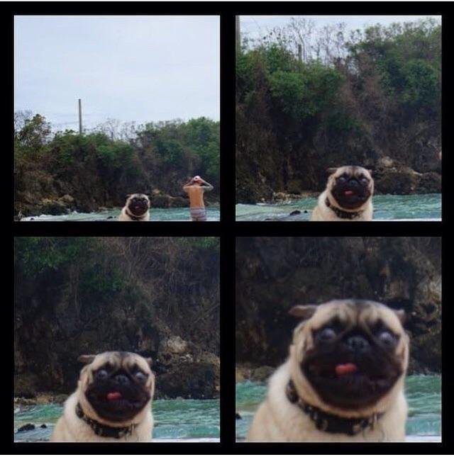 Bildschirmarbeiter - Picdump 30.06.2017