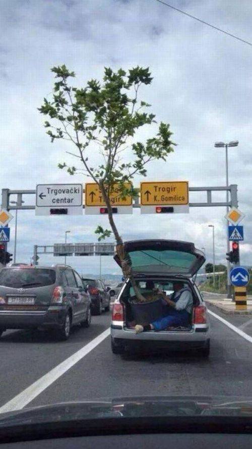 Bildschirmarbeiter - Picdump 30.06.2017