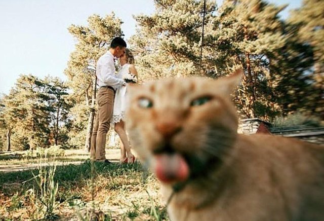 Bildschirmarbeiter - Picdump 07.07.2017