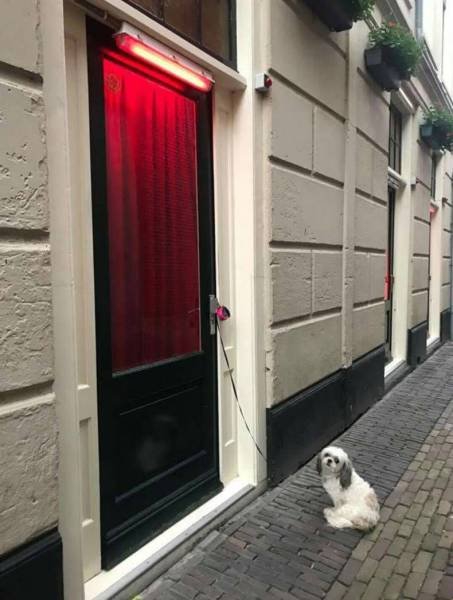 Bildschirmarbeiter - Picdump 07.07.2017