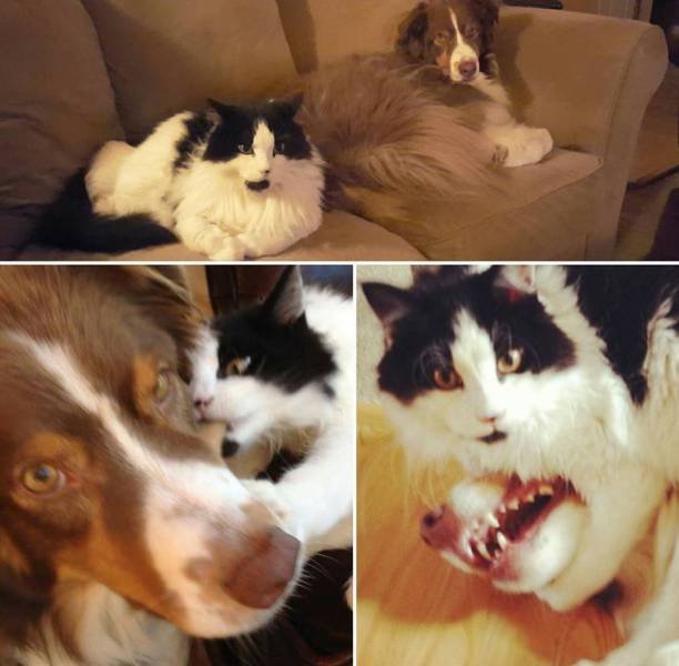 Bildschirmarbeiter - Picdump 07.07.2017