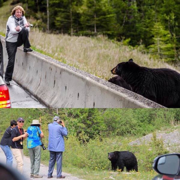 Bildschirmarbeiter - Picdump 07.07.2017