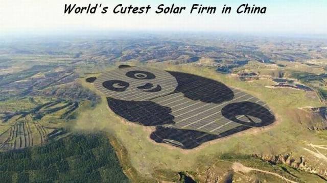 Bildschirmarbeiter - Picdump 07.07.2017