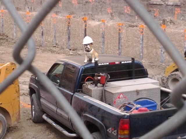 Bildschirmarbeiter - Picdump 07.07.2017