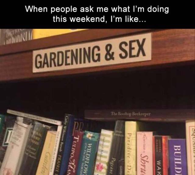 Bildschirmarbeiter - Picdump 07.07.2017