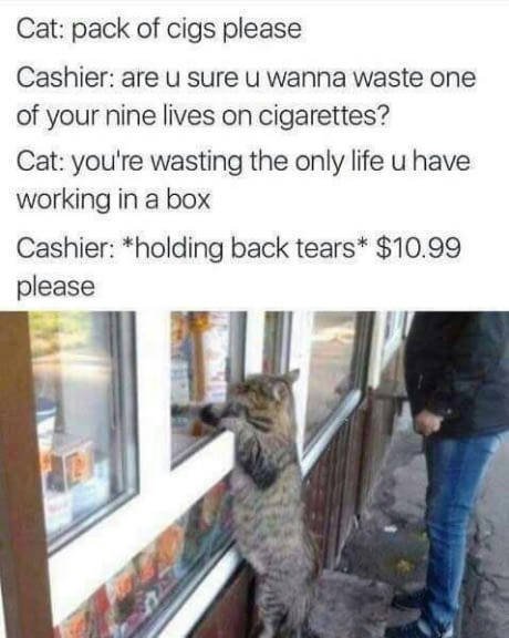 Bildschirmarbeiter - Picdump 07.07.2017