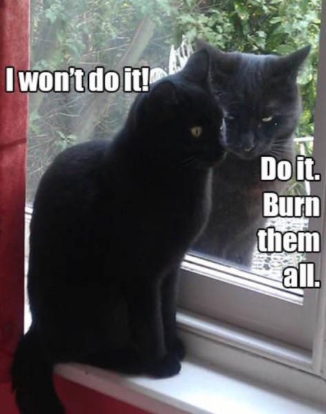 Bildschirmarbeiter - Picdump 07.07.2017