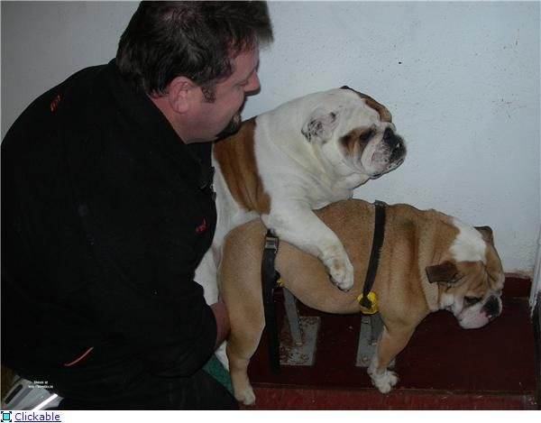 Bildschirmarbeiter - Picdump 17.07.2009