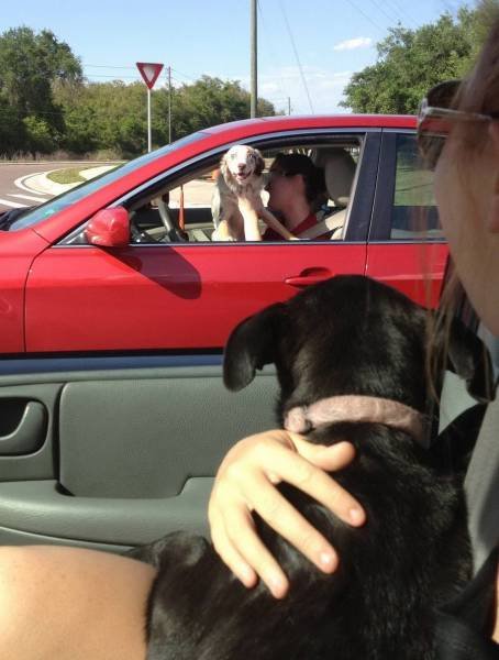 Bildschirmarbeiter - Picdump 14.07.2017