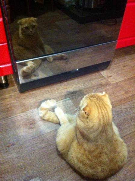 Bildschirmarbeiter - Picdump 14.07.2017