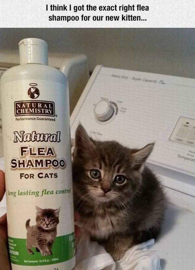 Bildschirmarbeiter - Picdump 14.07.2017