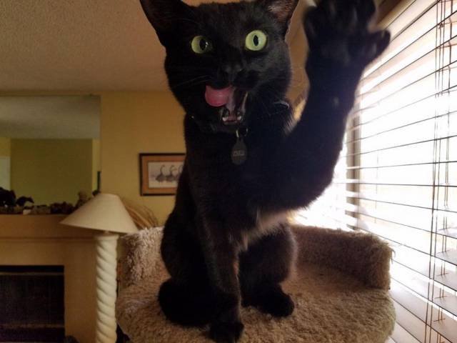 Bildschirmarbeiter - Picdump 14.07.2017