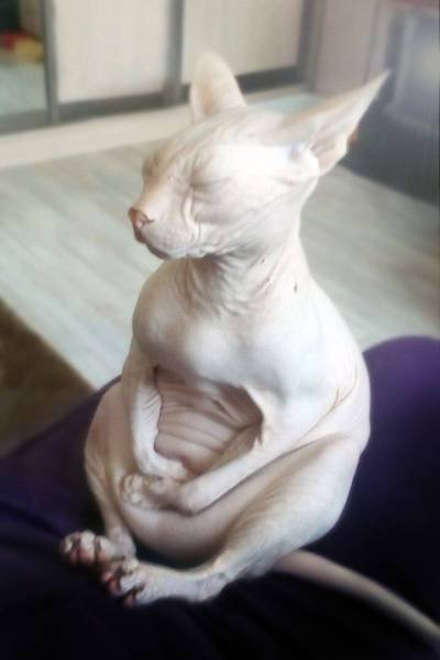 Bildschirmarbeiter - Picdump 14.07.2017