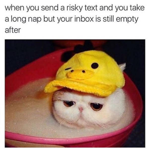 Bildschirmarbeiter - Picdump 14.07.2017