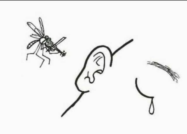 Bildschirmarbeiter - Picdump 14.07.2017