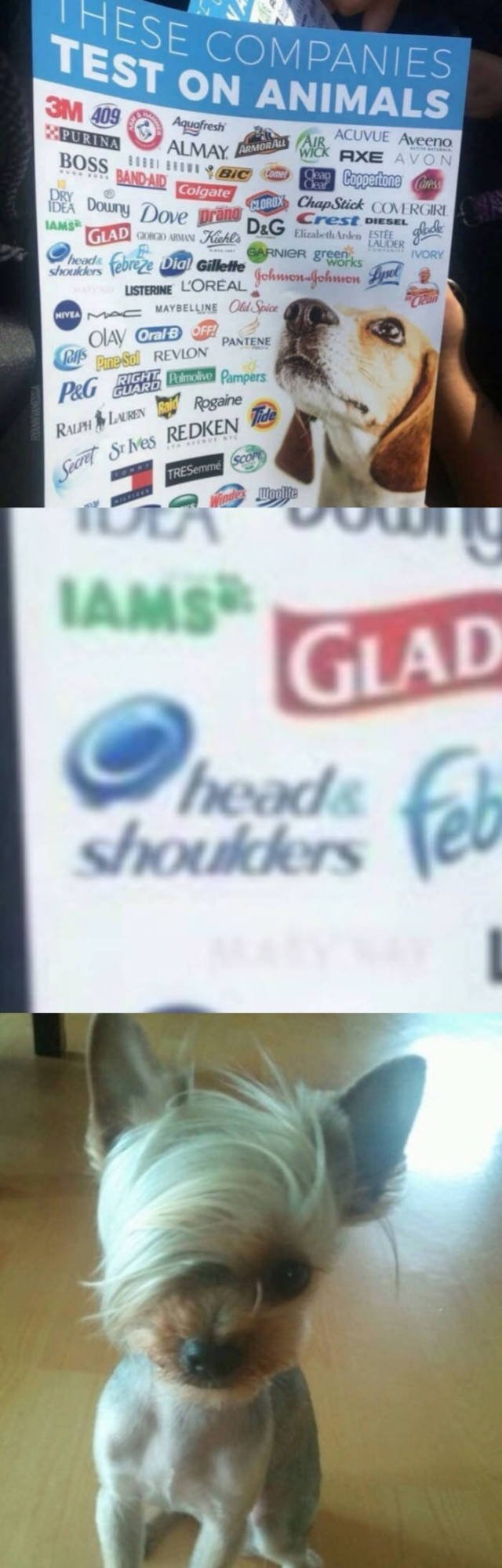 Bildschirmarbeiter - Picdump 14.07.2017