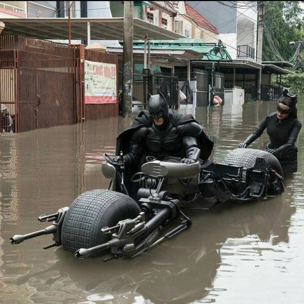 Bildschirmarbeiter - Picdump 14.07.2017