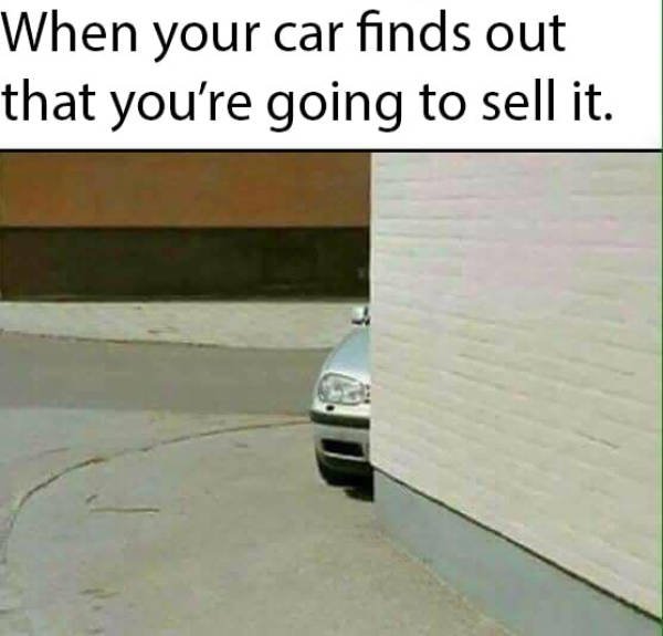 Bildschirmarbeiter - Picdump 14.07.2017