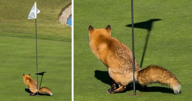 Bildschirmarbeiter - Picdump 14.07.2017