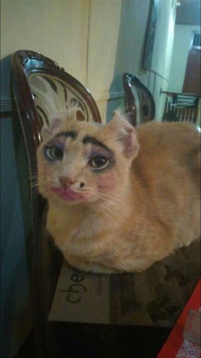 Bildschirmarbeiter - Picdump 14.07.2017