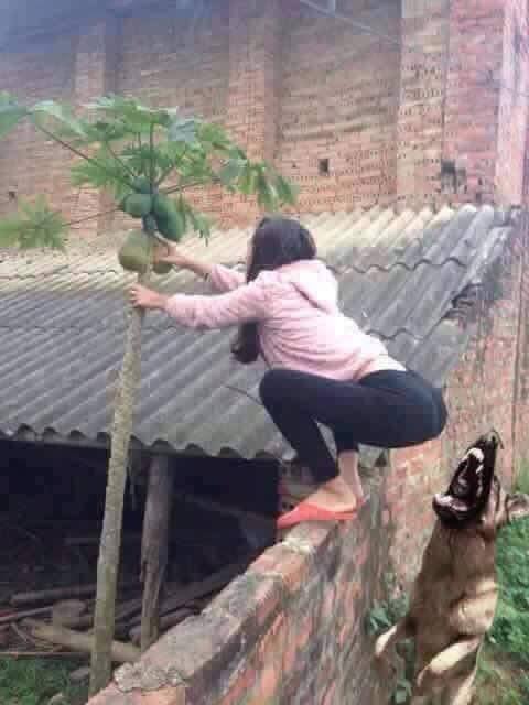 Bildschirmarbeiter - Picdump 14.07.2017